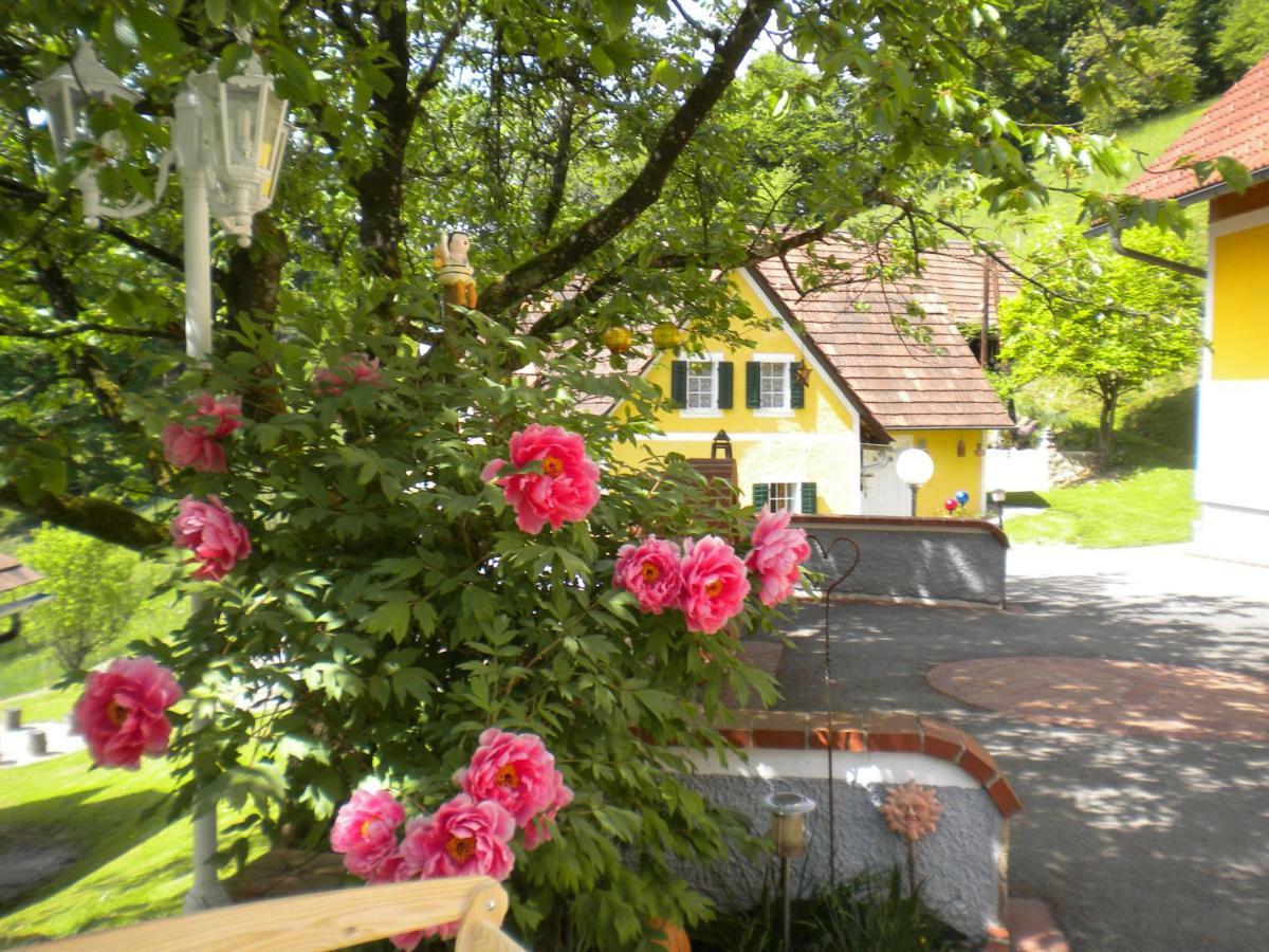 Buchschneider - Ferienhaus Maier - Landhof Schwarzautal Zewnętrze zdjęcie