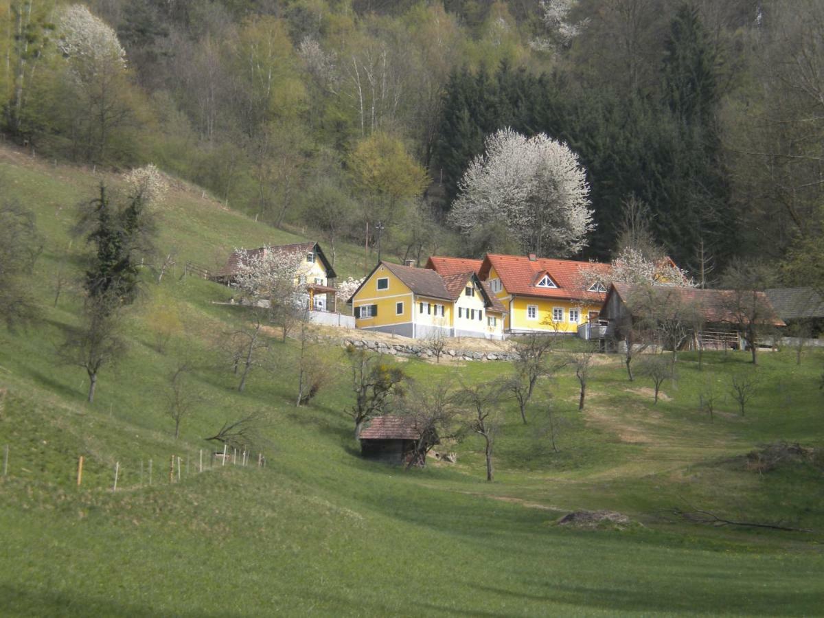 Buchschneider - Ferienhaus Maier - Landhof Schwarzautal Zewnętrze zdjęcie