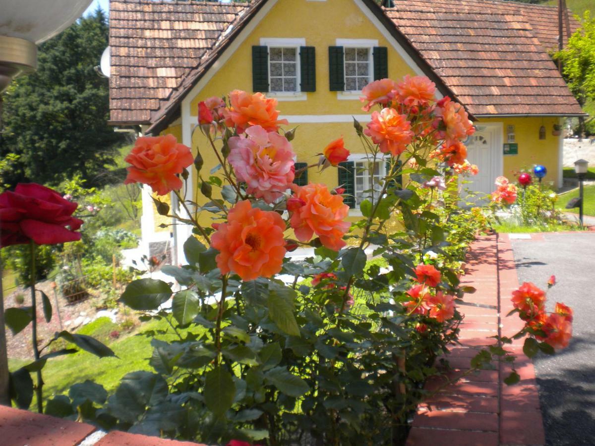 Buchschneider - Ferienhaus Maier - Landhof Schwarzautal Zewnętrze zdjęcie