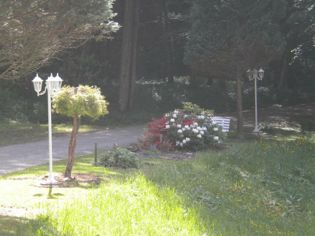 Buchschneider - Ferienhaus Maier - Landhof Schwarzautal Zewnętrze zdjęcie